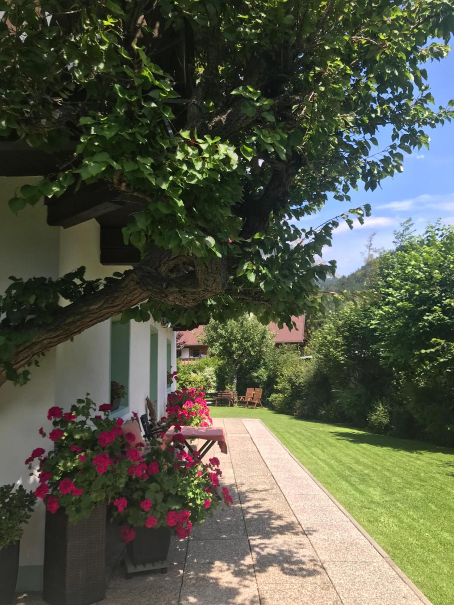 דירות ליוטאש Haus Hoher Sattel מראה חיצוני תמונה